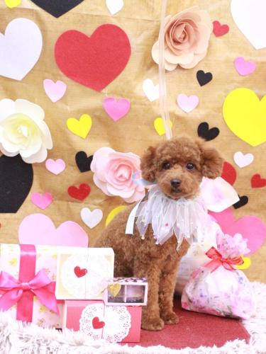 20230202リッチくん